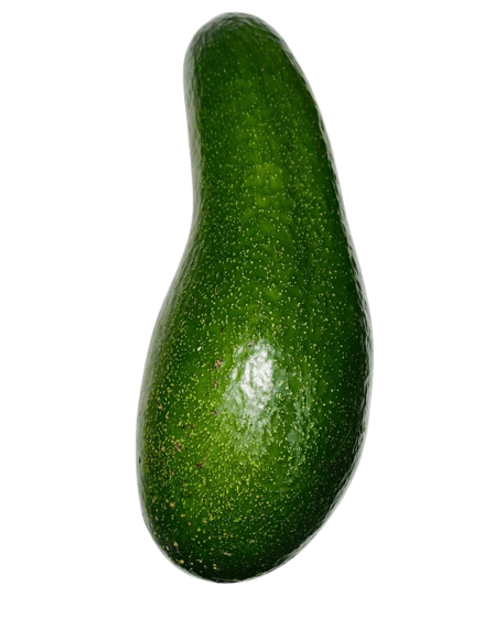 Avocado long neck My Exotic Fruit The UK s Leading Exotic Fruit Retailer